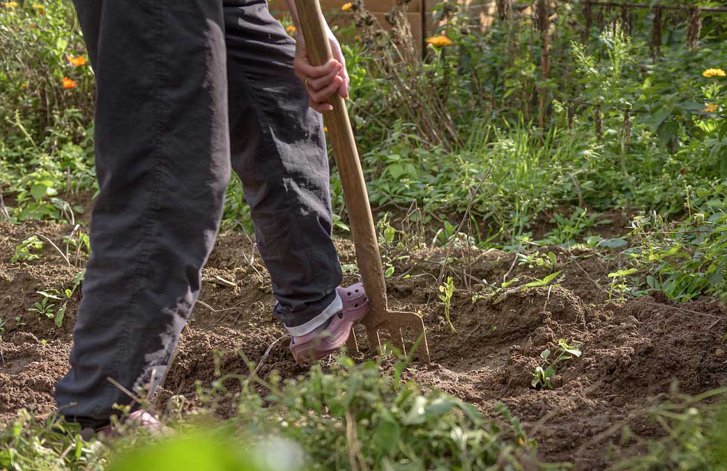 bechage jardin potager