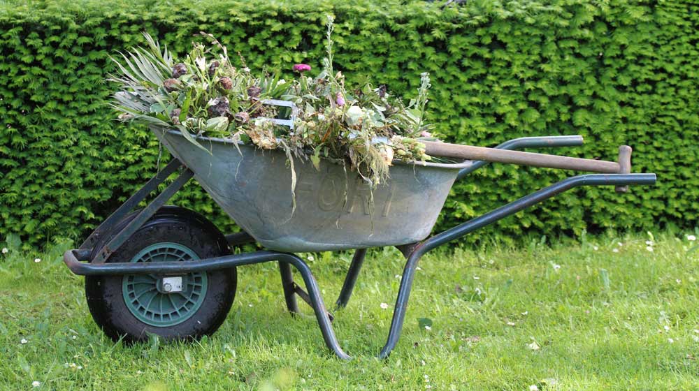 brouette travaux de jardin